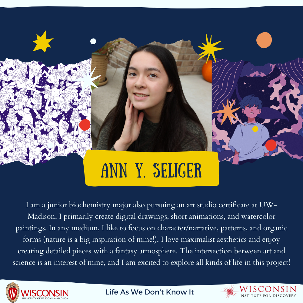 Ann Y. Seliger biography