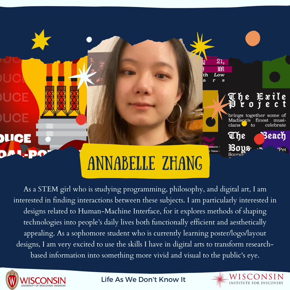Annabelle Zhang biography