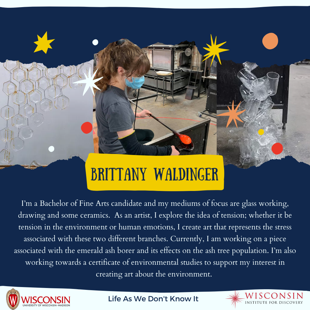 Brittany Waldinger biography