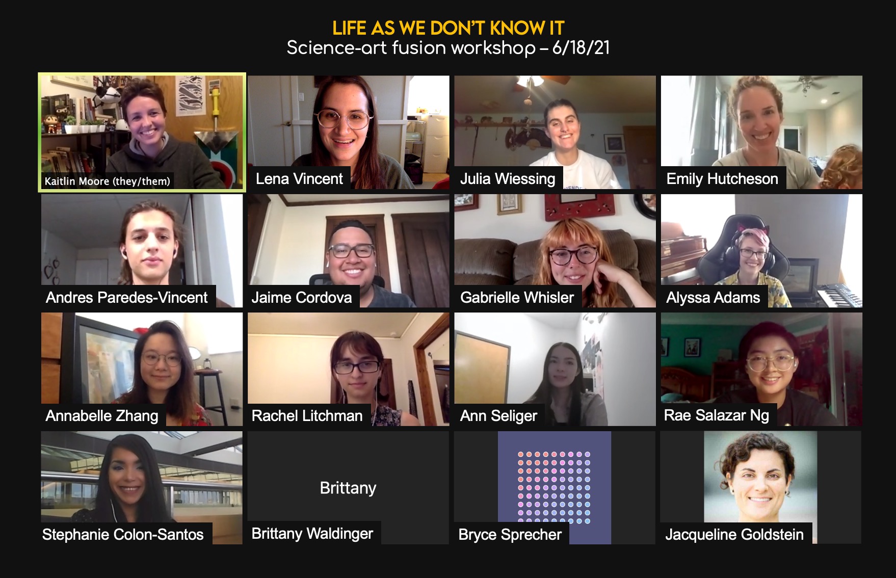 screenshot of a zoom meeting with all the artists involved in the gallery launch