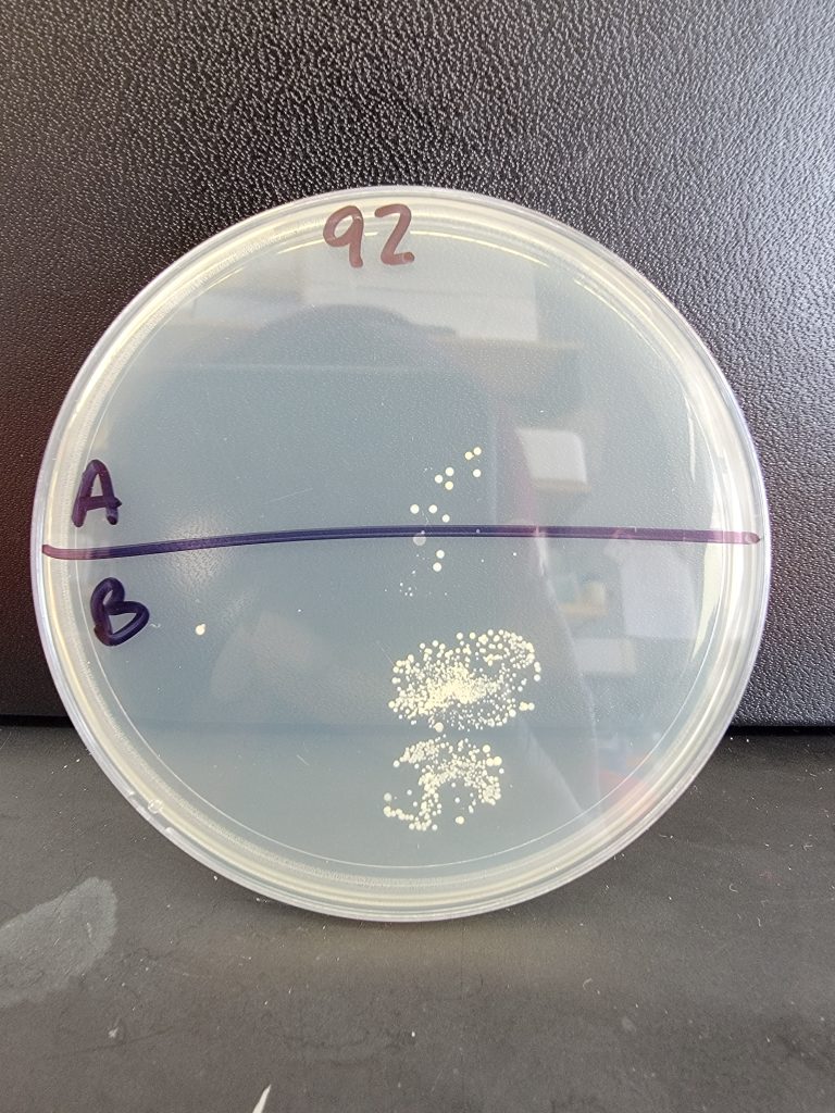 Petri Dish 92
