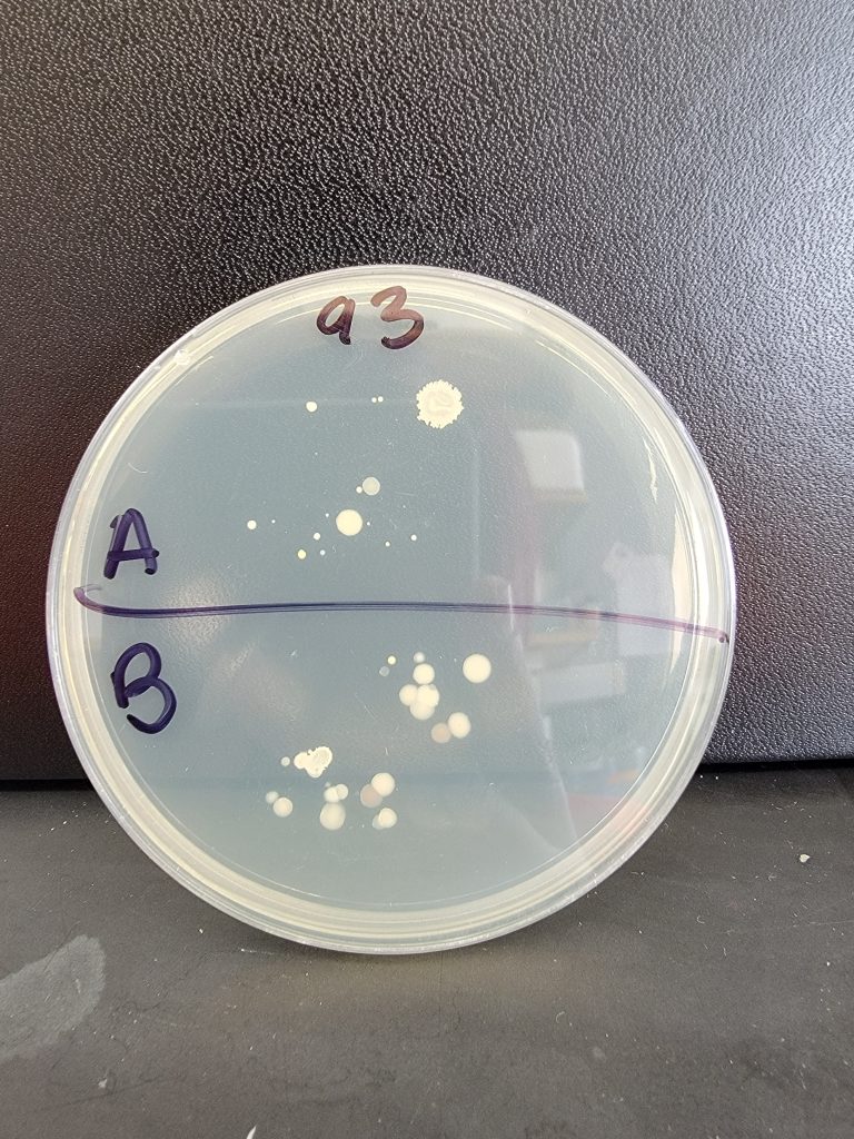 Petri Dish 93