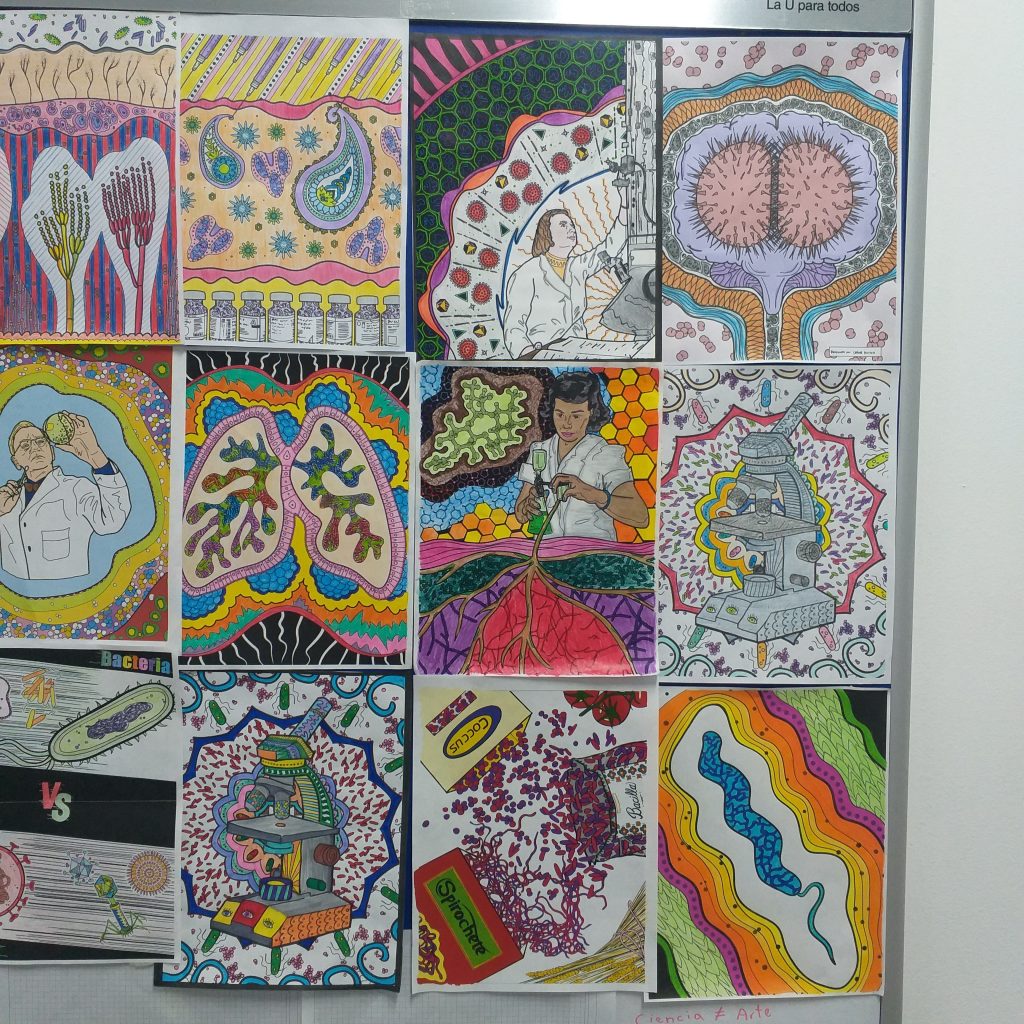 Universidad Militar Nueva Granada coloring 2