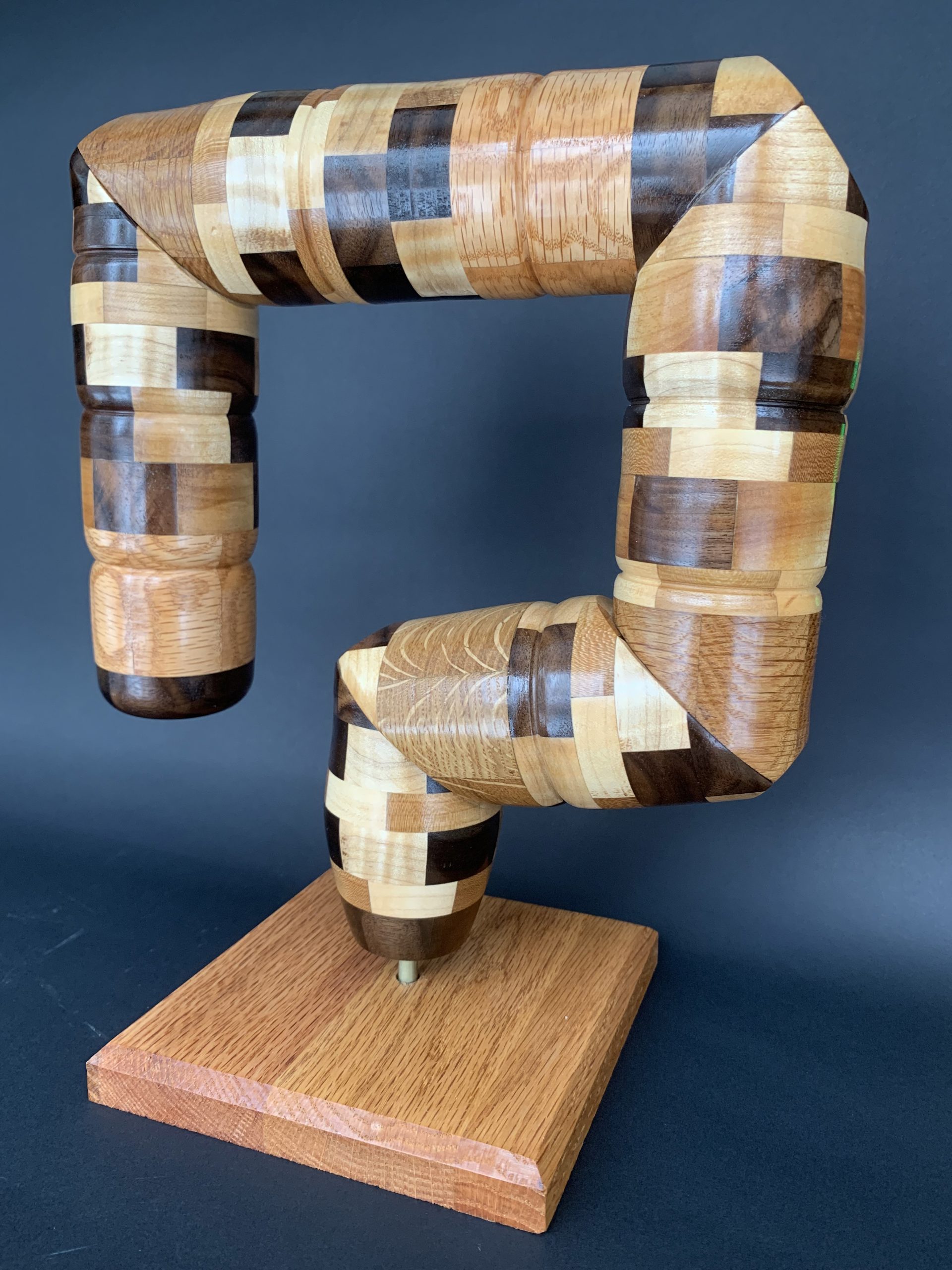"Colon Sculpture" by Mark Benson (226 pieces of wood of various species)