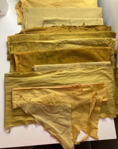 fabric dyed with marigold flowers