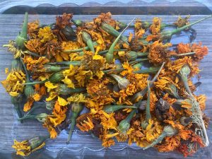 marigolds