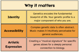 Why it matters
Identity - Genetics encodes the fundamental blueprint of life. Your genetic profile is a major component of who you are. Accessibility - Complex genetic data is often abstract. Music makes it intuitively perceivable for general audiences. Artistic Expression - Creating a musical signature for specific genes allows for a deeply personal connection to biology.